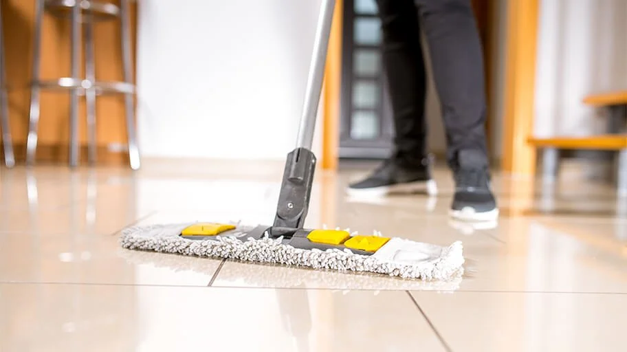 Daily Cleaning: Keep Dirt and Dust at Bay